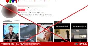 Nhiều đơn vị xâm phạm bản quyền sở hữu hệ sinh thái giải trí với hàng triệu lượt xem, doanh thu quảng cáo lớn