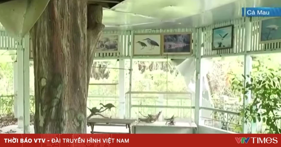 Nhiều hạng mục tại Vườn chim Bạc Liêu xuống cấp Nhiều hạng mục tại Vườn chim Bạc Liêu xuống cấp