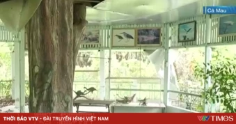 Nhiều hạng mục tại Vườn chim Bạc Liêu xuống cấp