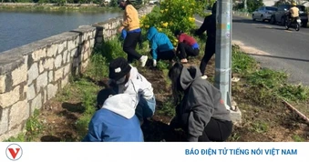Nhiều hoạt động môi trường, chăm sóc sức khoẻ kỷ niệm 50 năm TP mang tên Bác