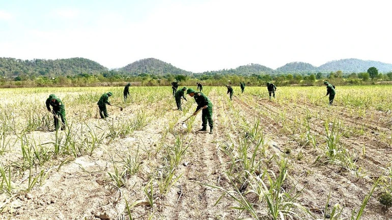 Nhiều hoạt động sôi nổi trong Tháng Thanh niên và Tháng Ba biên giới ở Đắk Lắk Nhiều hoạt động sôi nổi trong Tháng Thanh niên và Tháng Ba biên giới ở Đắk Lắk