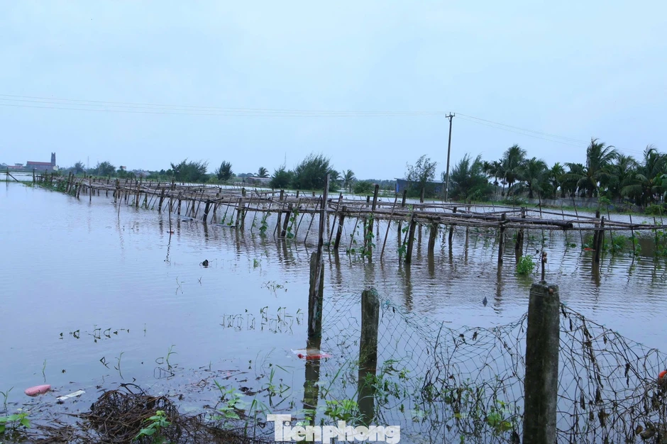 Nhiều khu vực ở Ninh Bình ngập sâu, nước sông Hoàng Long dâng cao trở lại