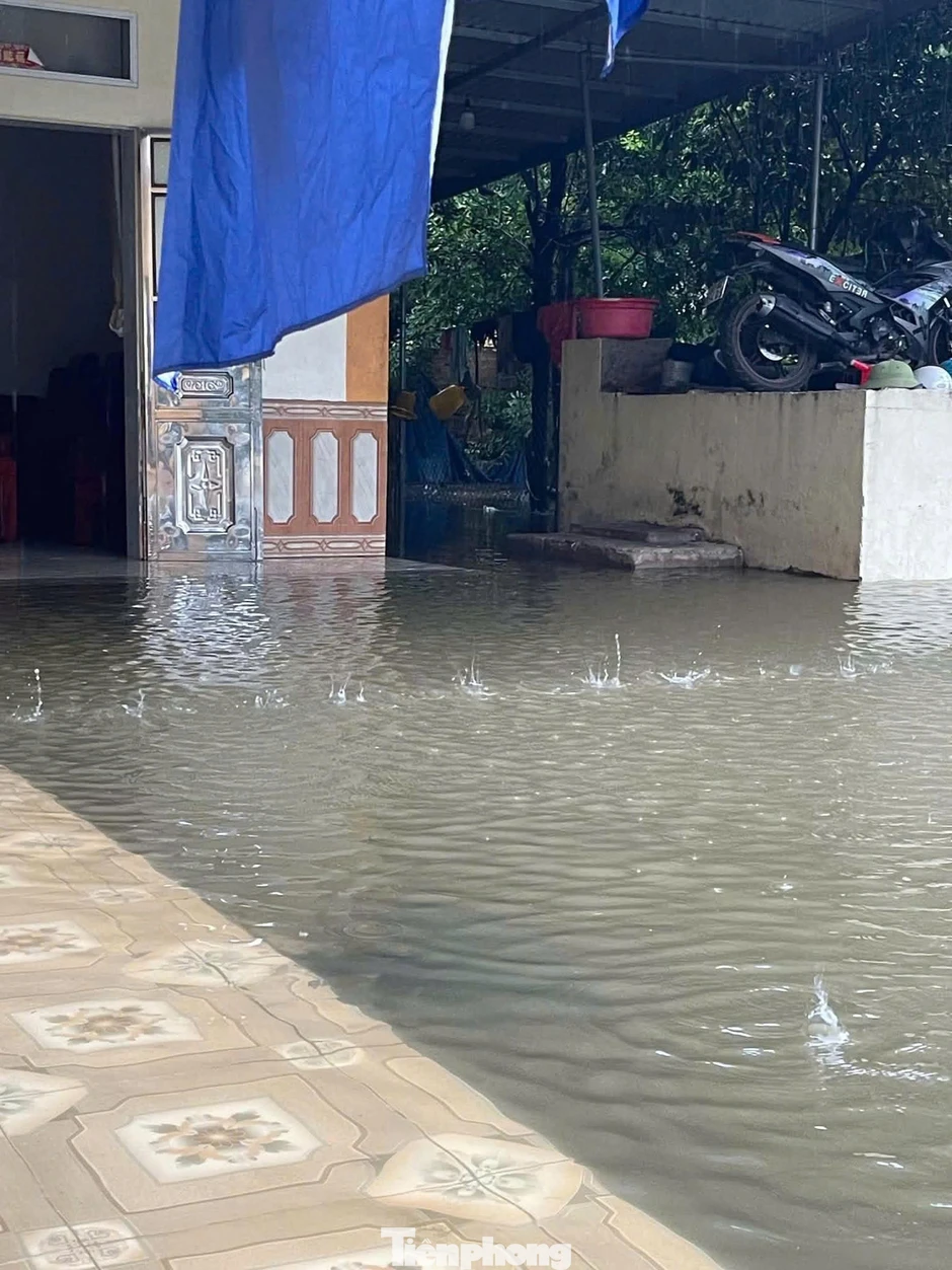 Nhiều khu vực ở Ninh Bình ngập sâu, nước sông Hoàng Long dâng cao trở lại