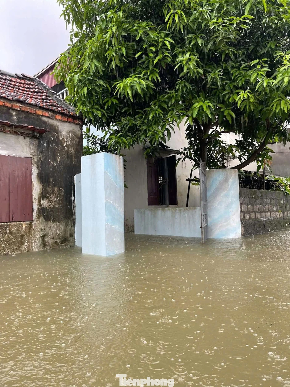 Nhiều khu vực ở Ninh Bình ngập sâu, nước sông Hoàng Long dâng cao trở lại