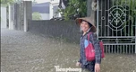 Nhiều khu vực ở Ninh Bình ngập sâu, nước sông Hoàng Long dâng cao trở lại
