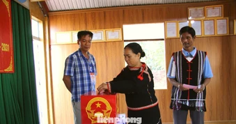 Nhiều lãnh đạo chủ chốt tỉnh Lâm Đồng, Khánh Hòa trúng cử đại biểu Hội đồng nhân dân