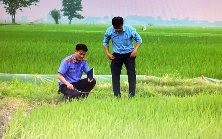 Nhiều người chết oan vì nạn bẫy chuột bằng điện ở Hải Phòng Nhiều người chết oan vì nạn bẫy chuột bằng điện ở Hải Phòng