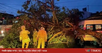 Nhiều nhà dân tốc mái, cây xanh gãy đổ sau trận mưa dông ở Đắk Lắk