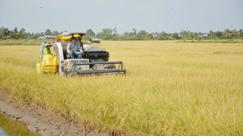Nhiều sai phạm trong quản lý đất đai tại xã Đông Hòa, tỉnh An Giang