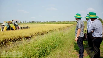 Nhiều sai phạm trong quản lý đất đai tại xã Đông Hòa, tỉnh An Giang