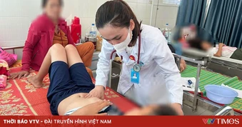 Nhiều trường hợp nghi ngộ độc thực phẩm do ăn bánh mì ở Quảng Ngãi