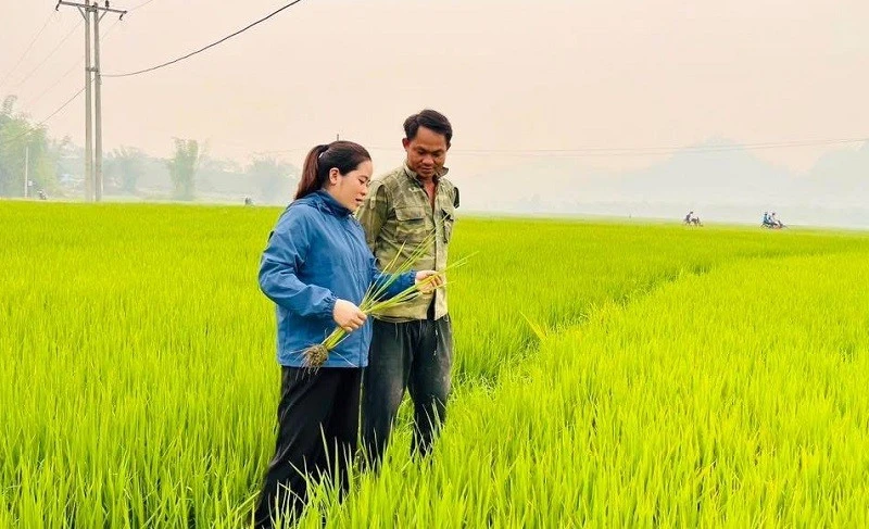 Nhiều xã trong tỉnh Điện Biên đề nghị tiếp tục thực hiện biệt phái công chức, viên chức về cơ sở