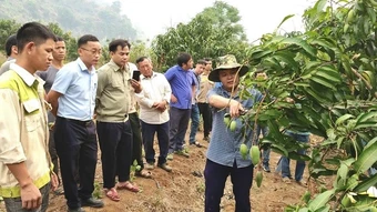 Nhiều xã trong tỉnh Điện Biên đề nghị tiếp tục thực hiện biệt phái công chức, viên chức về cơ sở