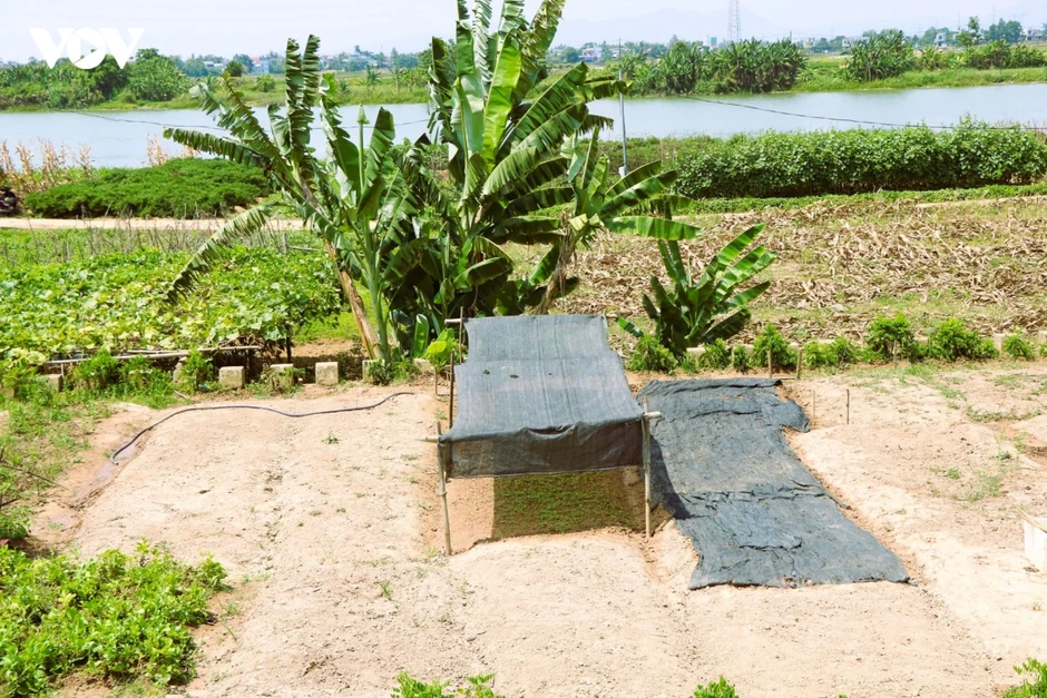 Nhọc nhằn mưu sinh dưới cái nắng bỏng rát ở miền Trung
