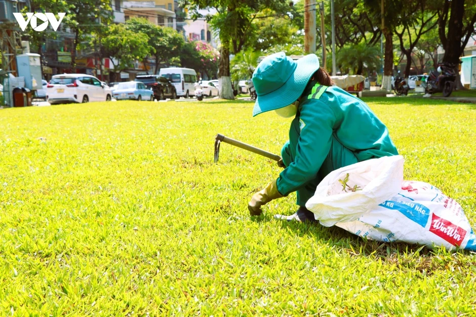Nhọc nhằn mưu sinh dưới cái nắng bỏng rát ở miền Trung