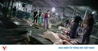 Nhức nhối thực phẩm bẩn: Biết rồi, khổ lắm, nói mãi