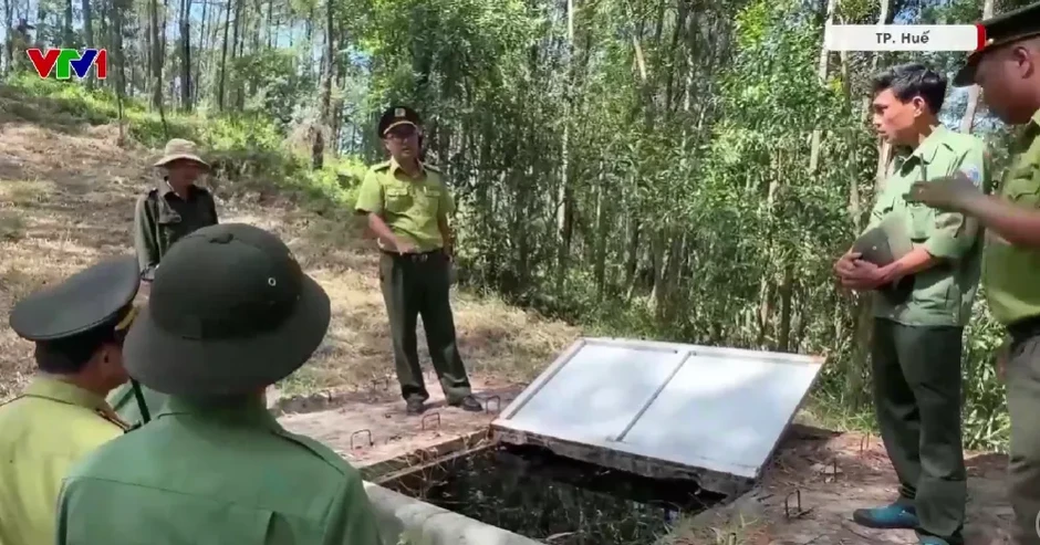 Những bể trữ nước giữa rừng: Giải pháp chữa cháy chủ động trong mùa khô khắc nghiệt Những bể trữ nước giữa rừng: Giải pháp chữa cháy chủ động trong mùa khô khắc nghiệt