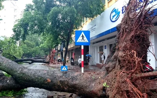 Những “điểm đen” nguy hiểm cần tránh khi dông lốc xảy ra Những “điểm đen” nguy hiểm cần tránh khi dông lốc xảy ra