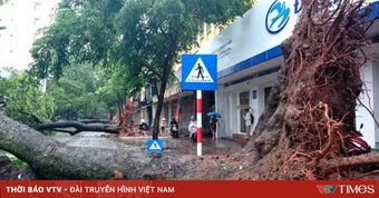 Những “điểm đen” nguy hiểm cần tránh khi dông lốc xảy ra