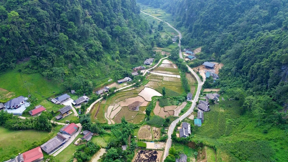 Những "tỷ phú miền rừng"bước ra từ thế giới ảo Những "tỷ phú miền rừng"bước ra từ thế giới ảo