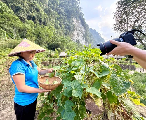 Những "tỷ phú miền rừng"bước ra từ thế giới ảo Những "tỷ phú miền rừng"bước ra từ thế giới ảo
