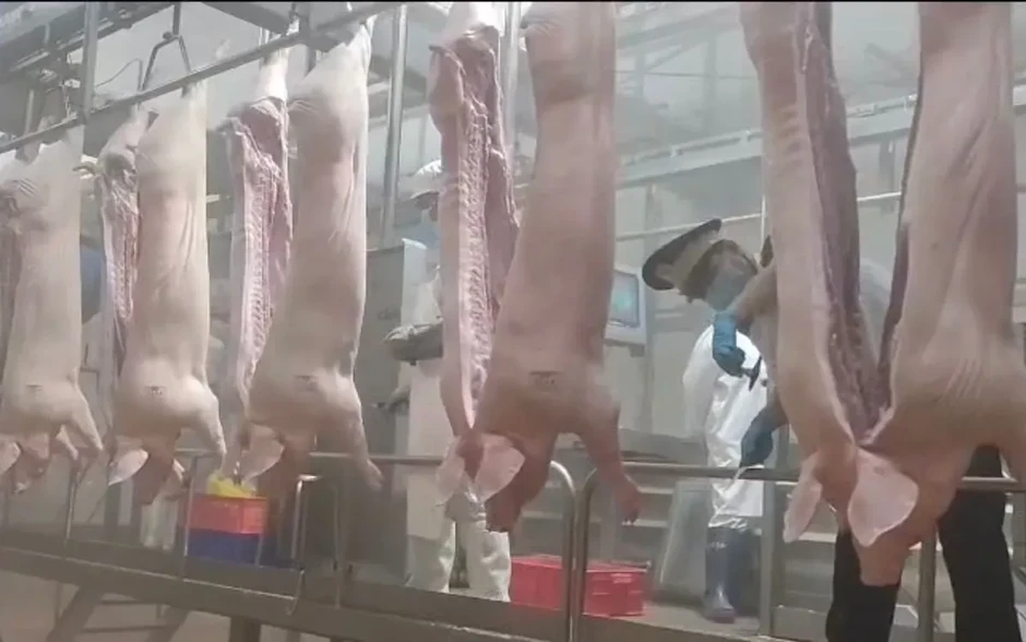 Ninh Bình chấn chỉnh công tác kiểm dịch, kiểm soát giết mổ động vật Ninh Bình chấn chỉnh công tác kiểm dịch, kiểm soát giết mổ động vật