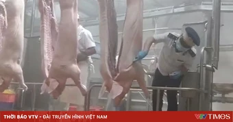 Ninh Bình chấn chỉnh công tác kiểm dịch, kiểm soát giết mổ động vật