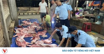 Ninh Bình chấn chỉnh hoạt động giết mổ động vật, siết chặt kỷ luật công vụ