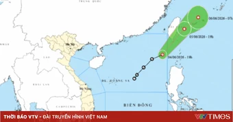 Ninh Bình chủ động ứng phó áp thấp nhiệt đới trên Biển Đông