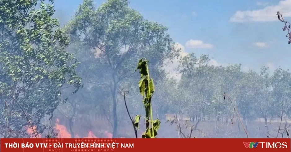 Ninh Bình cơ bản khống chế cháy rừng phòng hộ tại Tam Chúc Ninh Bình cơ bản khống chế cháy rừng phòng hộ tại Tam Chúc