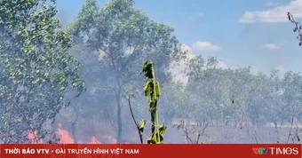 Ninh Bình cơ bản khống chế cháy rừng phòng hộ tại Tam Chúc