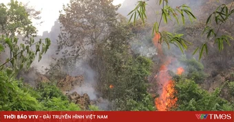 Ninh Bình dập tắt cháy rừng trên núi Mâm Xôi do sét đánh