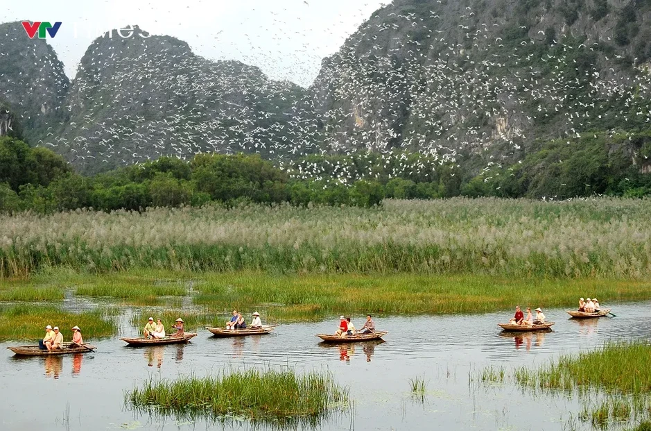 Ninh Bình: Hướng đi bền vững từ du lịch xanh gắn với di sản Ninh Bình: Hướng đi bền vững từ du lịch xanh gắn với di sản