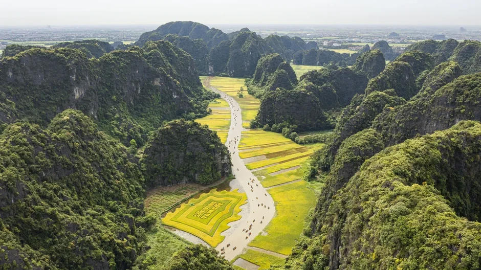 Ninh Bình mở “cửa” đón nhân lực chất lượng cao