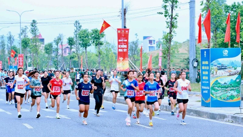 Ninh Bình quyết tâm xây dựng xã, phường không ma túy Ninh Bình quyết tâm xây dựng xã, phường không ma túy