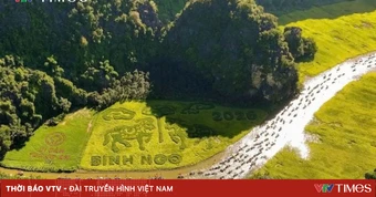 Ninh Bình xác minh thông tin nữ du khách chia sẻ chuyện "tâm linh" gây xôn xao mạng xã hội
