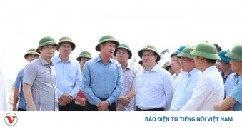 Ninh Bình xử lý khẩn cấp các điểm sạt lở đê biển Hải Thịnh trước mùa mưa bão