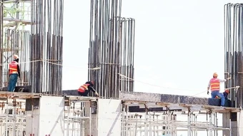 Nỗ lực thích nghi khi nắng nóng gay gắt