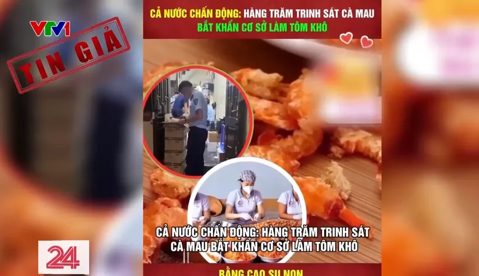 Nỗi lo thật trước tin giả về thực phẩm giả Nỗi lo thật trước tin giả về thực phẩm giả