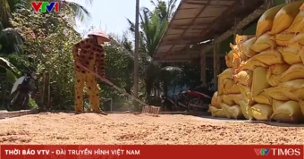Nông dân chật vật dưới nắng nóng gay gắt