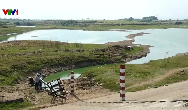 Nông dân chống hạn cứu lúa