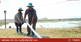 Nông dân chống hạn cứu lúa