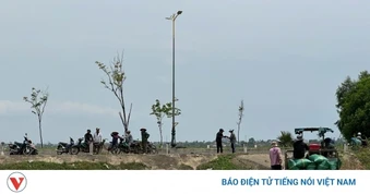 Nông dân Đắk Lắk tất bật gặt chạy úng lúa do mưa tiểu mãn