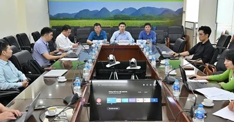 Nông sản Việt Nam vào EU đối mặt tiêu chuẩn, quy định mới