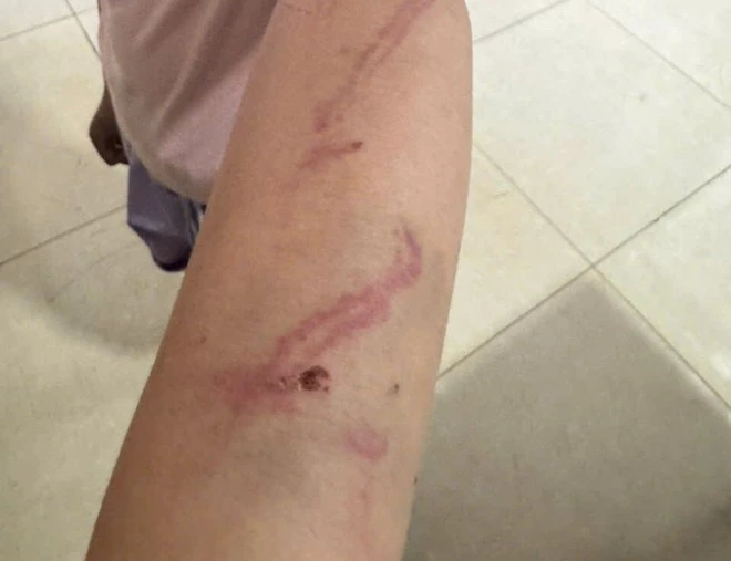 Nóng trên mạng tuần qua (13-19/4): Tiêu điểm về suất ăn học đường Nóng trên mạng tuần qua (13-19/4): Tiêu điểm về suất ăn học đường