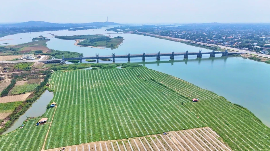 Nửa năm bám bãi bồi, nửa năm ngược Tây Nguyên theo những mùa dưa hấu
