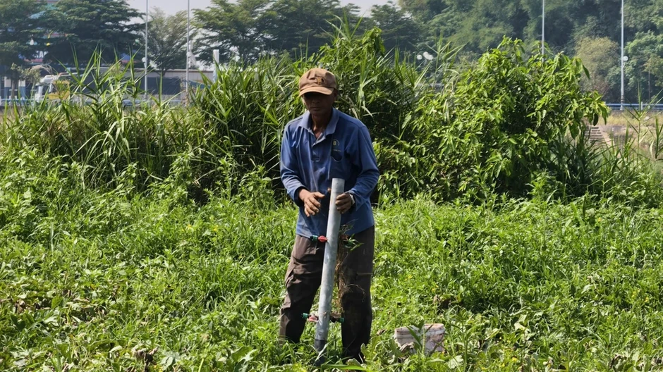 Nửa năm bám bãi bồi, nửa năm ngược Tây Nguyên theo những mùa dưa hấu