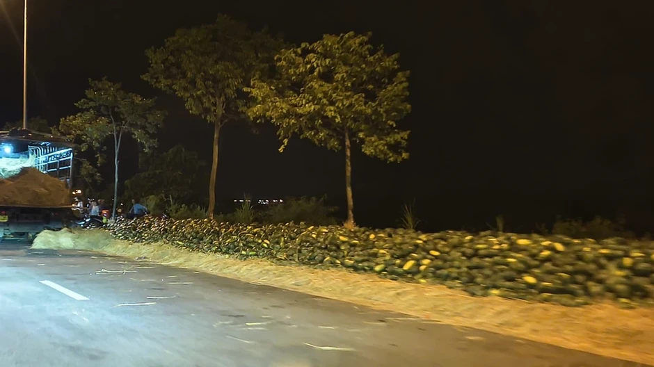 Nửa năm bám bãi bồi, nửa năm ngược Tây Nguyên theo những mùa dưa hấu