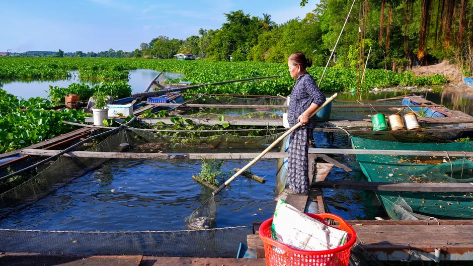 Nước đen, cá chết tái diễn trên sông Vàm Cỏ Đông: Không loại trừ nguồn ô nhiễm xuyên biên giới Nước đen, cá chết tái diễn trên sông Vàm Cỏ Đông: Không loại trừ nguồn ô nhiễm xuyên biên giới