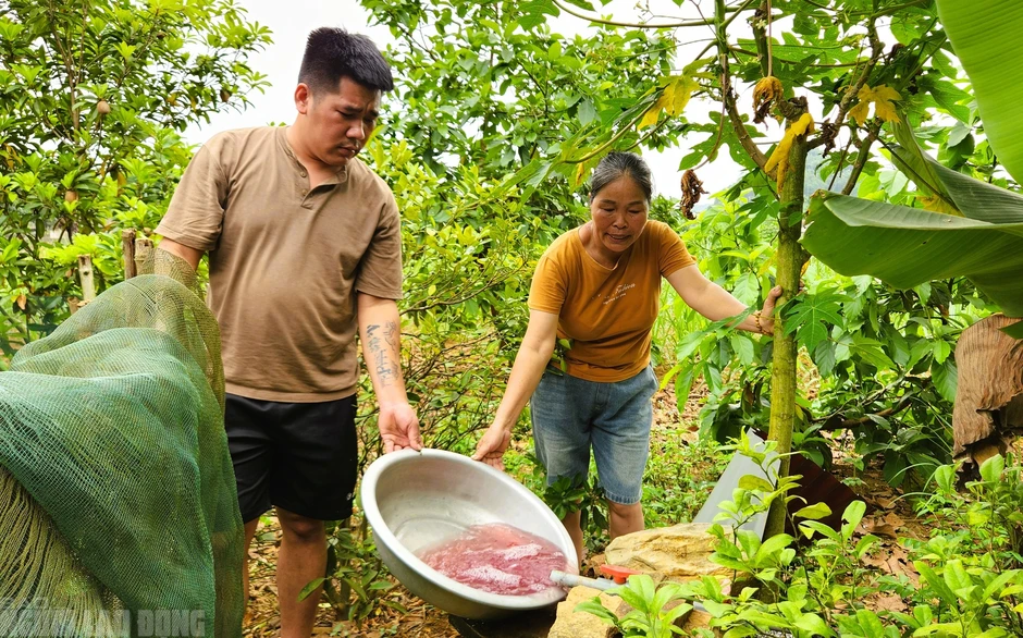 Nước giếng khoan nhà dân đổi màu tím, bốc mùi hôi thối bất thường Nước giếng khoan nhà dân đổi màu tím, bốc mùi hôi thối bất thường